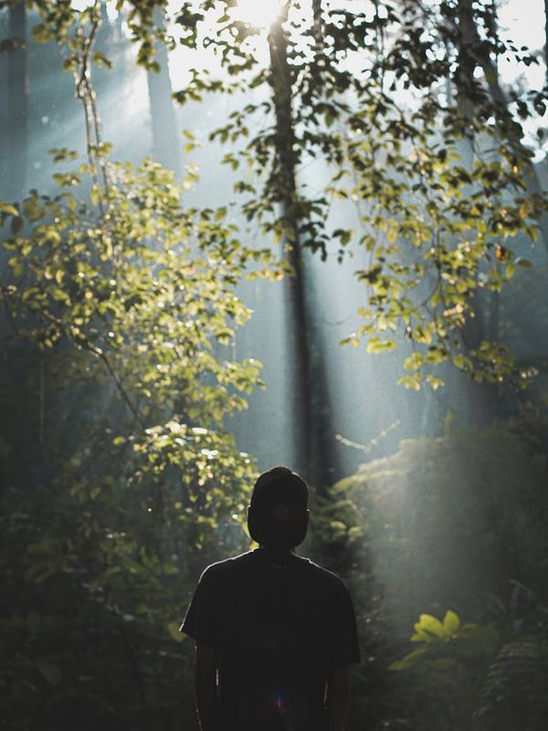 Person meditating peacefully in a serene, natural environment at sunrise.
